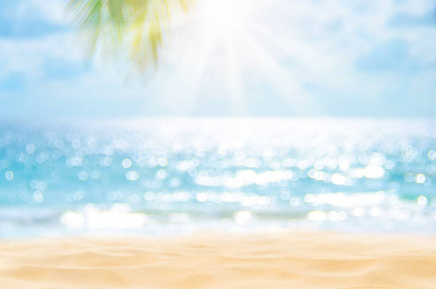 istock Blur beautiful nature green palm leaf on tropical beach with bokeh sun light wave abstract background. 1216329275