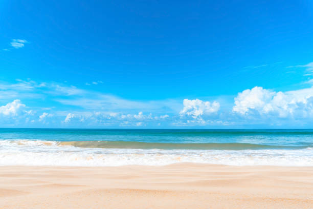 istock Beautiful tropical beach with blue sky and white clouds abstract texture background. 1216329279