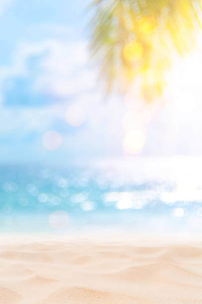 istock Blur beautiful nature green palm leaf on tropical beach with bokeh sun light wave abstract background. 1216329284