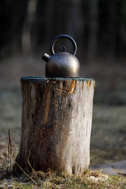 kettle on a stump in the woods.