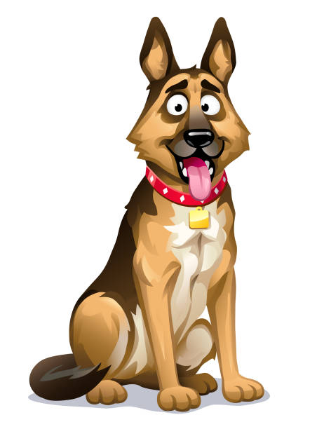 illustrations, cliparts, dessins animés et icônes de chien mignon- berger allemand - portrait bouche ouverte