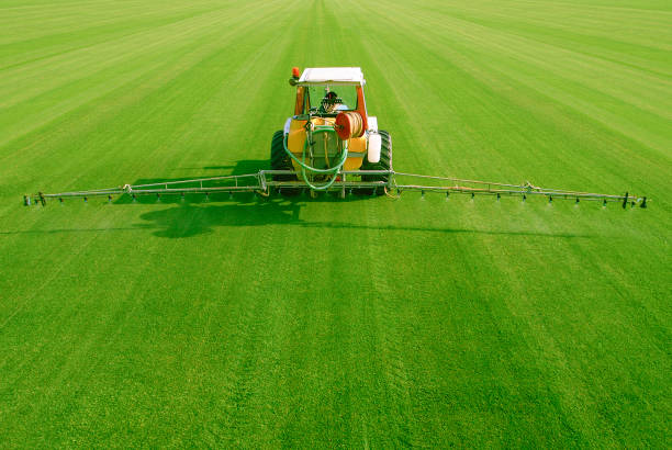 istock Fertilization of a field planted with garden grass 1216330772