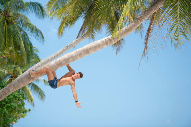 istock Handsome Man climbing a Palm Tree on Vacation, Tropical Beach 1216334351
