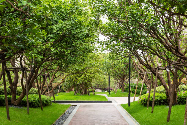 istock Pathway in garden,green lawns with bricks pathways,garden landscape design 1216334413