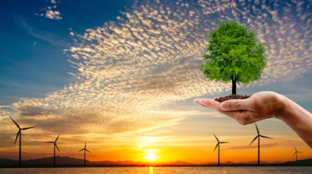 istock Hand holding the tree. turbine ecology technology with sun set background. save the earth concept. 1216342077