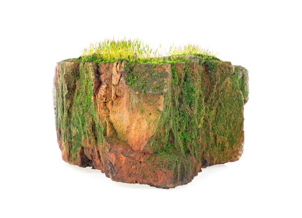 istock Old building brick covered with moss isolated on a white background 1216345319