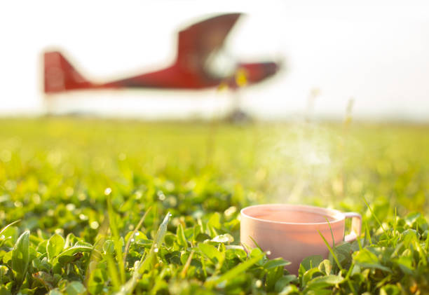 Zero waste travel cup with hot tea on green grass against defocused red small aircraft. Fresh spring meadow with drops on natural defocused sunlight green background. Horizontal
