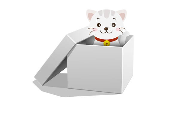 Web Kitten in the white paper box on the white background cat inquisitive stock illustrations