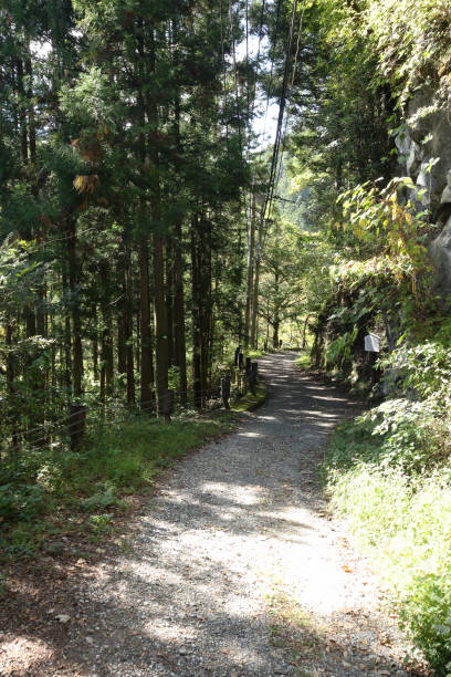 istock Okutama Mukashi Michi Hike - Japan 1216353934