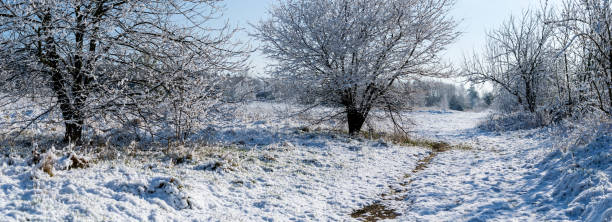 istock White winter landscape in the fields on a beautiful sunny day 1216354547