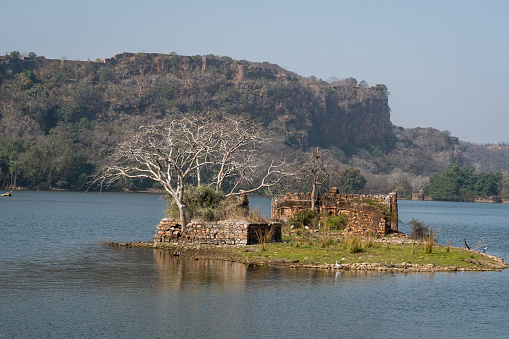 ranthambore monuments and padam lake with landscape of ranthambore national park, rajasthan, india