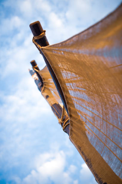 istock Closeup it is a wooden knot interwoven 1216358320
