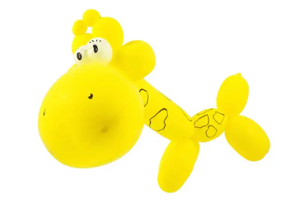 balloon animal giraffe with eyes twisted on white background