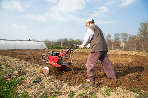 Man cultivates the land with the cultivator