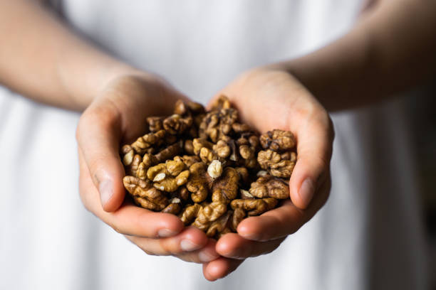 Walnut in a womans hands. Walnuts nuts is a healthy vegetarian protein and nutritious food. Nuts in a humans hand. stock photo