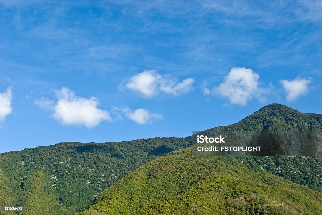 montaña - Foto de stock de Bosque libre de derechos
