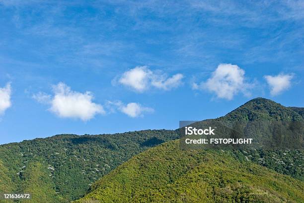 Montaña Foto de stock y más banco de imágenes de Bosque - Bosque, Sin personas, Vista elevada