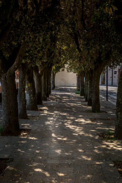 istock Historic pilgrimage town on the hill 1216365097