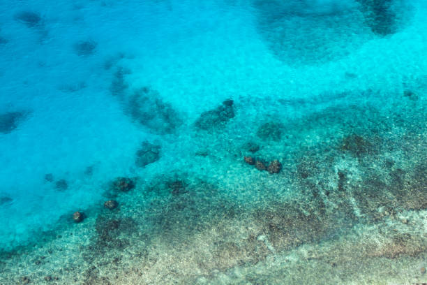 istock Persian Gulf, rocky seabed is under blue water 1216366960