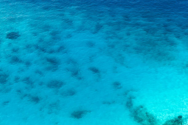 istock Persian Gulf, sandy seabed with stones is under water 1216367699