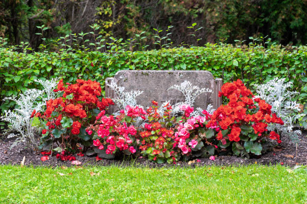 Gravestone with beautiful pink and red flowers stock photo