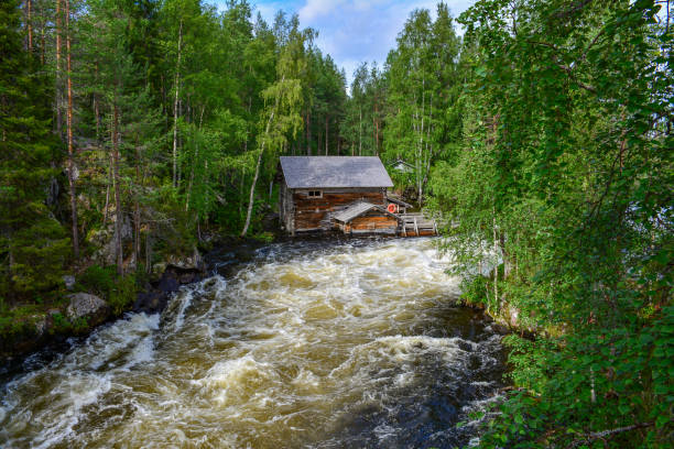 istock River in forest in Lapland Finland 1216373633