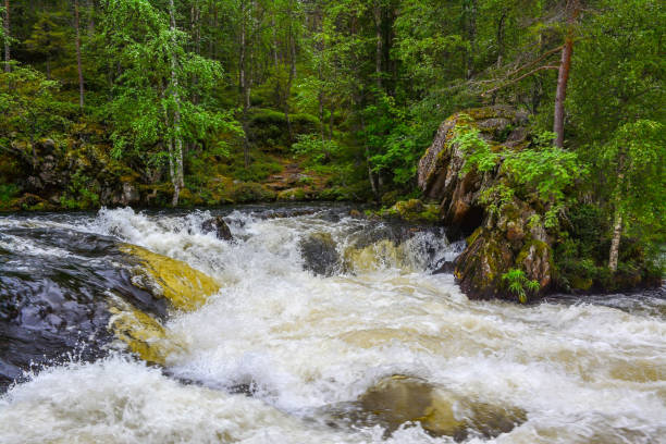 istock River in forest in Lapland Finland 1216374922