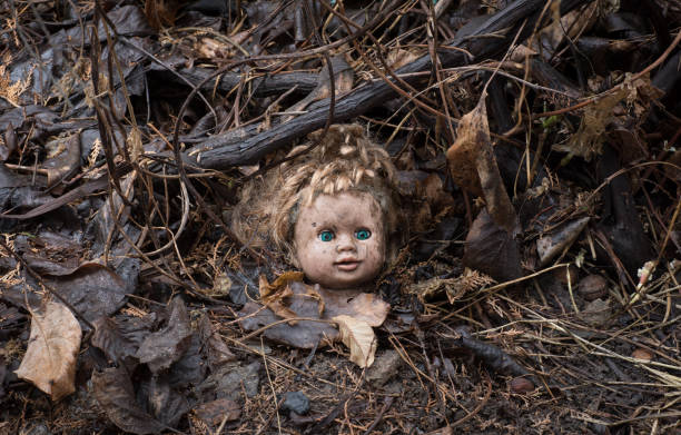 halloween doll head on a ground halloween doll head on a ground creepy doll stock pictures, royalty-free photos & images