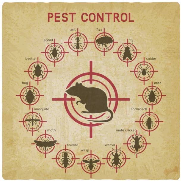 ilustrações, clipart, desenhos animados e ícones de ícones de controle de pragas definidos em fundo vintage alvo vermelho - service pest insect fly