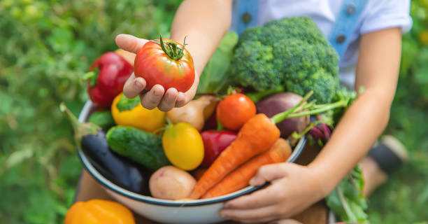 istock Child in the garden with vegetables in his hands. Selective focus. 1216388105