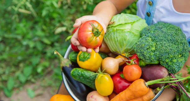 istock Child in the garden with vegetables in his hands. Selective focus. 1216388175
