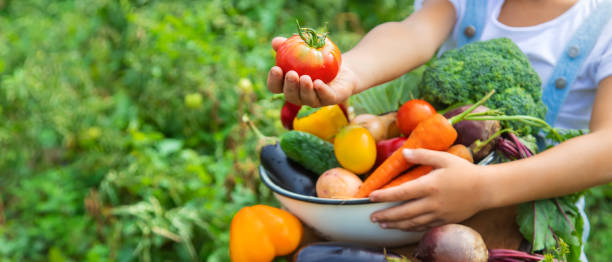 istock Child in the garden with vegetables in his hands. Selective focus. 1216388202
