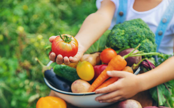 istock Child in the garden with vegetables in his hands. Selective focus. 1216388708