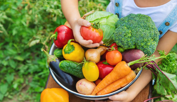 istock Child in the garden with vegetables in his hands. Selective focus. 1216388998
