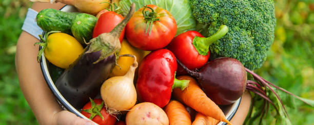 istock Child in the garden with vegetables in his hands. Selective focus. 1216389741
