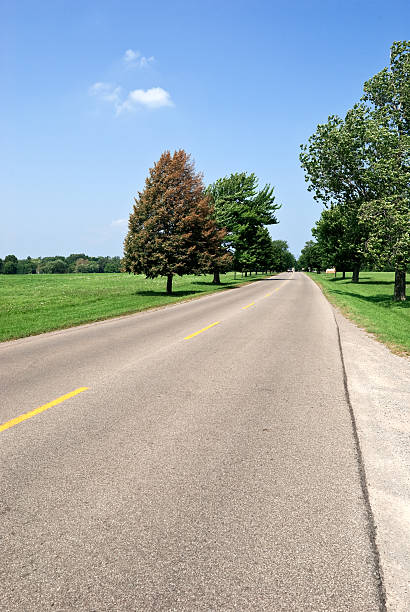 istock Country side road with trees 121639310