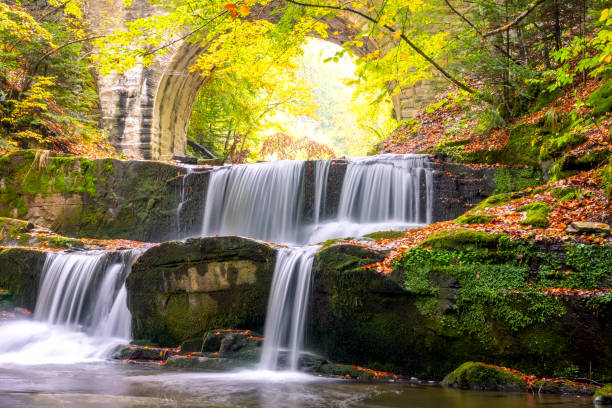 istock River Waterfall and Arch of a Stone Bridge in the Forest 1216393597