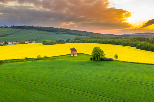Drone point of view shot of an idyllic countryside landscape with view of the exterior of a traditional windmill and a vibrant yellow rapeseed field under a moody sky at sunset, Moravia, Czech Republic