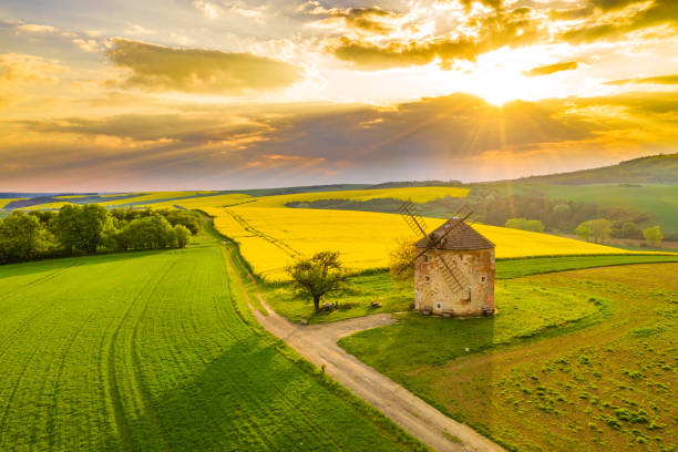 Countryside landscape with windmill and rapeseed field, Moravia, Czech Republic Drone point of view shot of an idyllic countryside landscape with view of the exterior of a traditional windmill and a vibrant yellow rapeseed field under a moody sky at sunset, Moravia, Czech Republic czech republic photos stock pictures, royalty-free photos & images