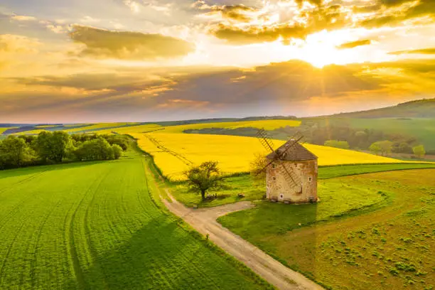 Drone point of view shot of an idyllic countryside landscape with view of the exterior of a traditional windmill and a vibrant yellow rapeseed field under a moody sky at sunset, Moravia, Czech Republic
