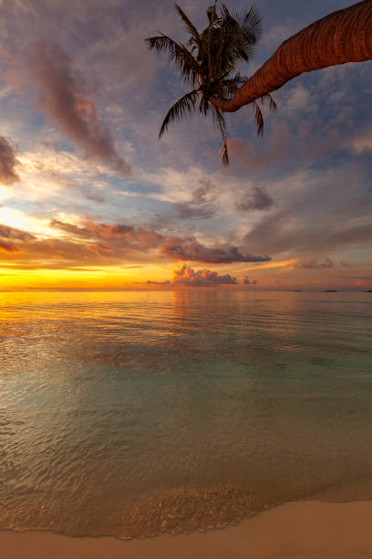 sunset on maldives islands