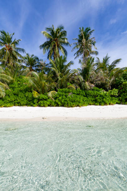 istock tropical beach scene, maldives islands 1216394994