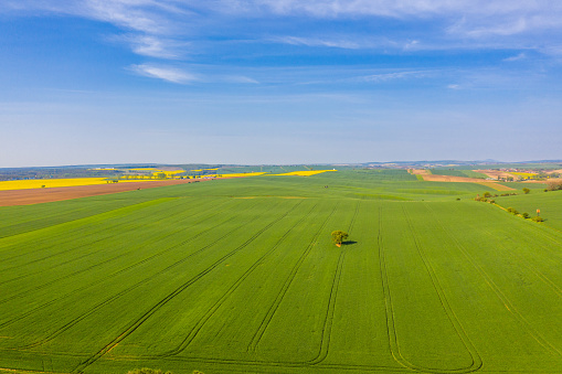 Drone point of view shot of a vast green field under a blue sky, Moravia, Czech Republic