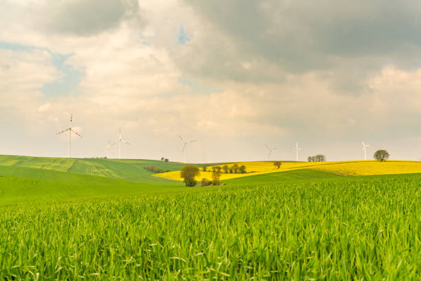 녹색 필드를 가로지르는 풍력 터빈 - wind turbine austria field yellow 뉴스 사진 이미지