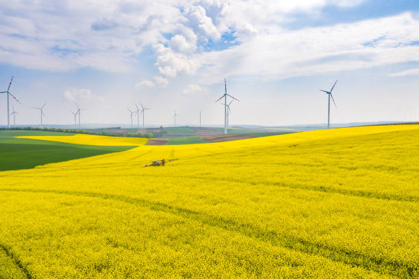 필드 및 풍력 터빈. - wind turbine austria field yellow 뉴스 사진 이미지