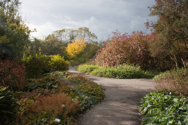 istock Autumn landscape. Crossroad. 1216396053