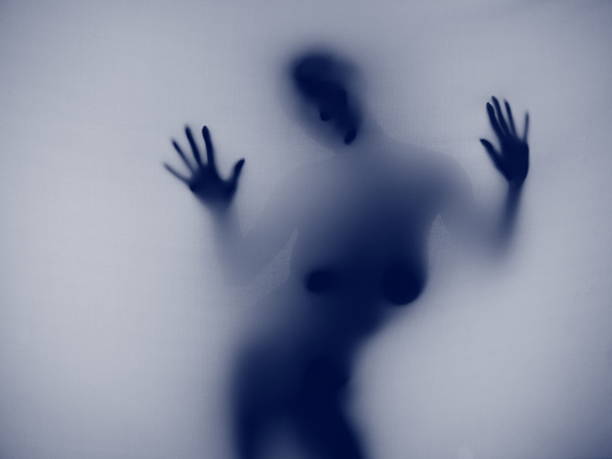 istock Silhouette of Female 121639632