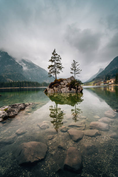 Island with trees in Eibsee lake, Bavaria, Germany