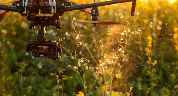 istock Close-up of drone cutting plants with propellers 1216397728