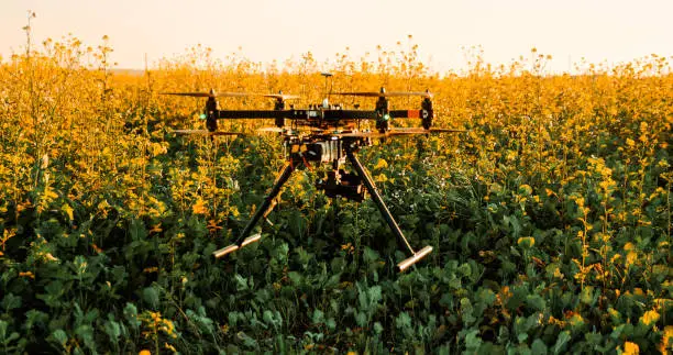 Photo of Drone flying low above plants in a field